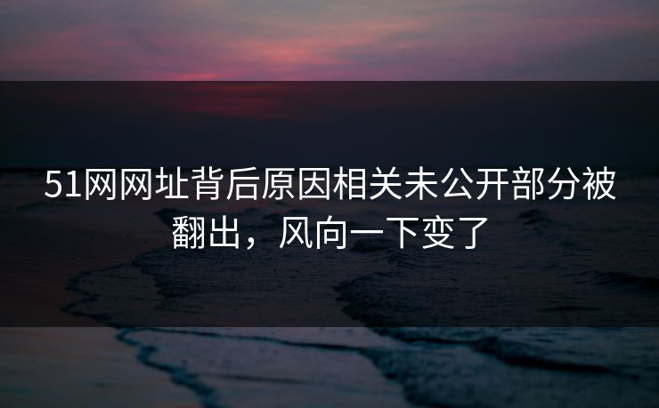 51网网址背后原因相关未公开部分被翻出，风向一下变了